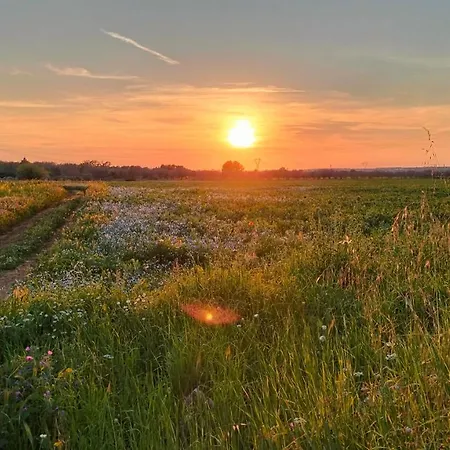 Casa Antonio E Nicoletta Dom wakacyjny *