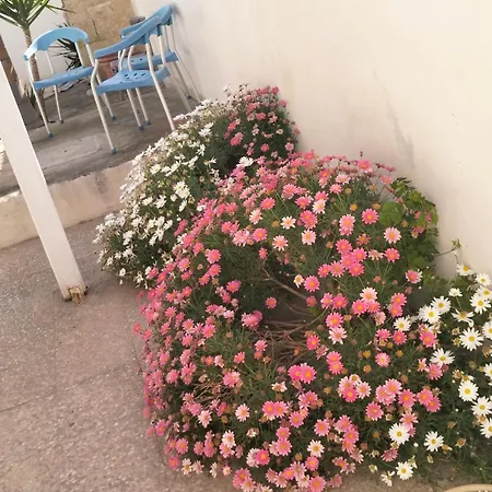 Casa Antonio E Nicoletta 度假居